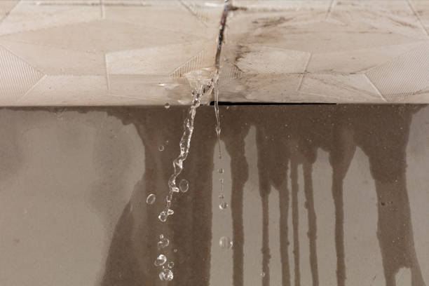 Professional Water Damage Repair technician working in Nordland, WA